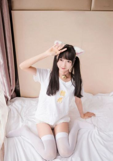 屋顶的大象