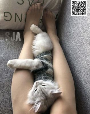 建筑学概论 电影