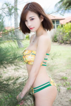 茶啊二中第5季免费观看完整版