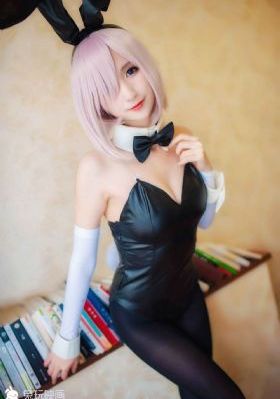 儿童动画片汪汪队全集免费观看