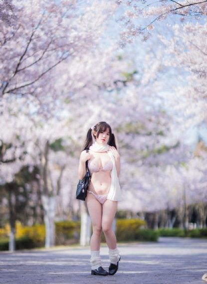 夏花电视剧免费观看全集